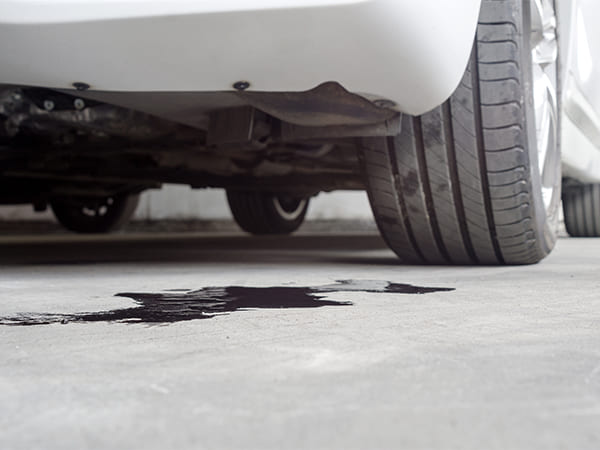 Honda Oil Leak Diagnosis