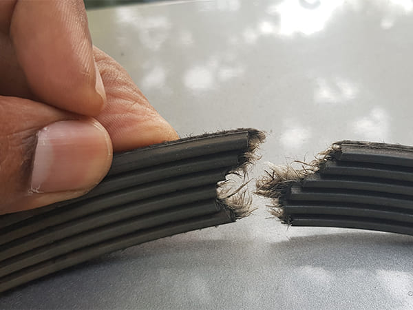 Acura Timing Belt Issues