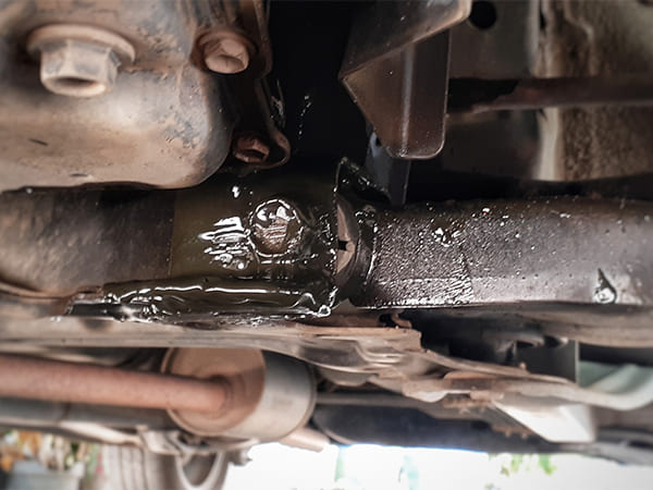 Common Acura Oil Leaks