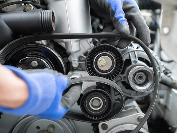 Toyota Timing Belt Replacement